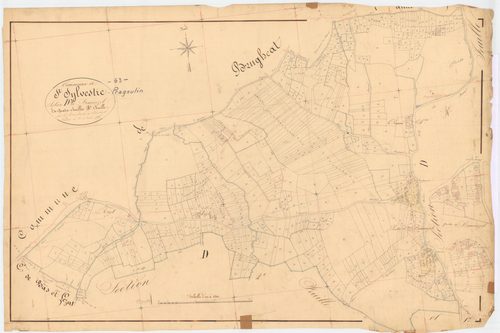 Saint-Sylvestre-Pragoulin - 53 FI 1233      Section D de Beauvezet, 3ème feuille