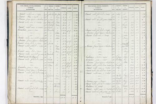 Sauret-Besserve - P 10581/1      Section A