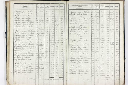Sauret-Besserve - P 10581/1      Section A