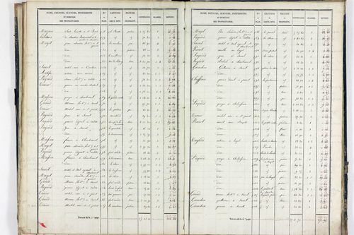 Sauret-Besserve - P 10581/2      Section B