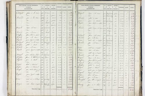 Sauret-Besserve - P 10581/2      Section B