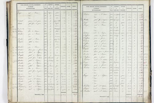 Sauret-Besserve - P 10581/2      Section B