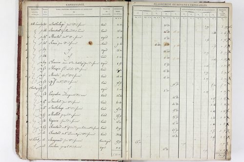 Saurier - P 11324/1      Section A