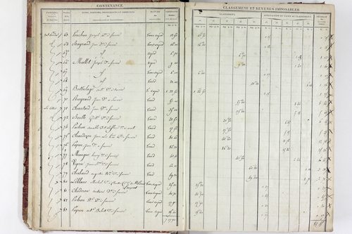 Saurier - P 11324/1      Section A