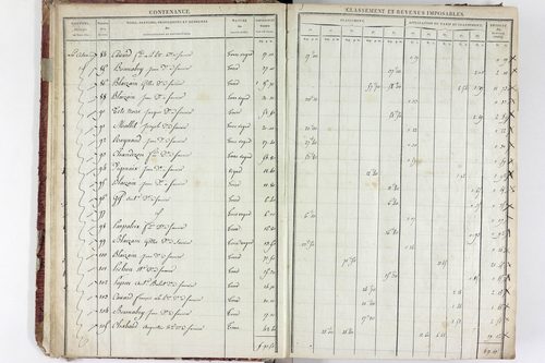 Saurier - P 11324/1      Section A