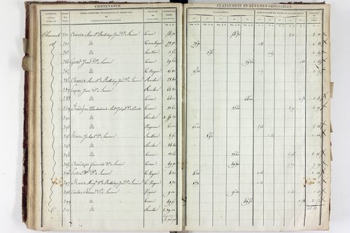 Saurier - P 11324/2      Section B