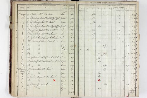 Saurier - P 11324/2      Section B
