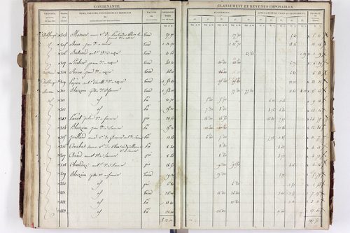 Saurier - P 11324/3      Section C