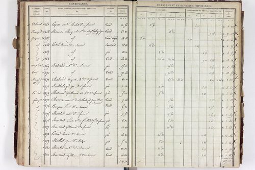 Saurier - P 11324/3      Section C