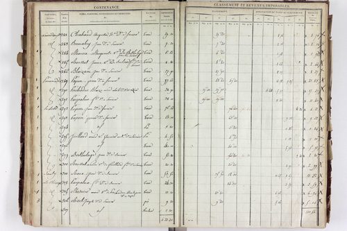 Saurier - P 11324/3      Section C