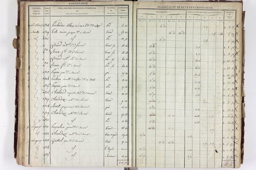 Saurier - P 11324/3      Section C