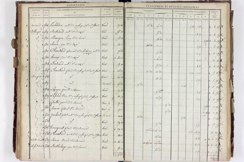 Saurier - P 11324/3      Section C