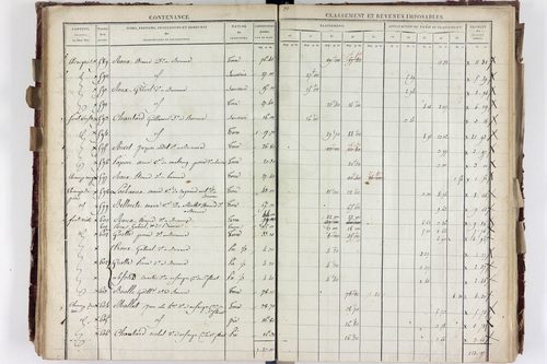 Saurier - P 11324/3      Section C