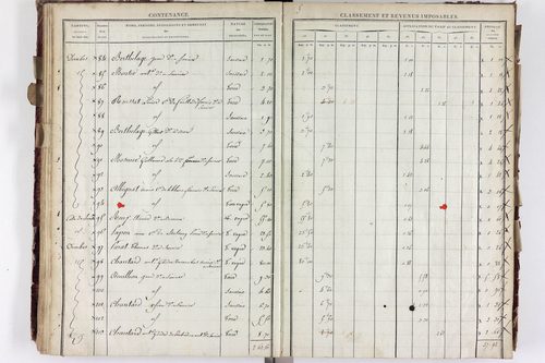 Saurier - P 11324/3      Section C