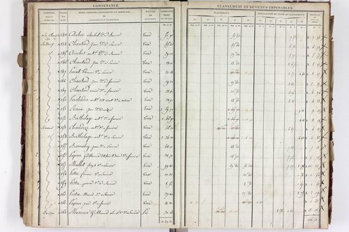 Saurier - P 11324/3      Section C