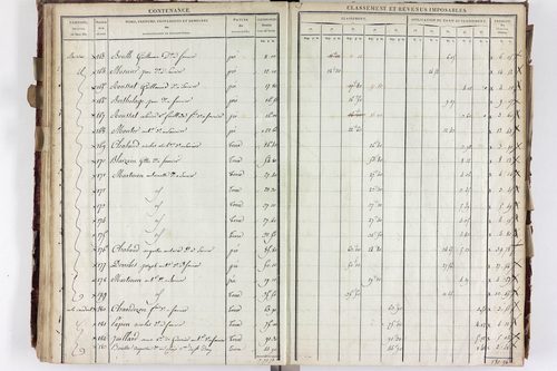Saurier - P 11324/3      Section C
