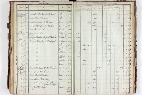 Saurier - P 11324/4      Section D