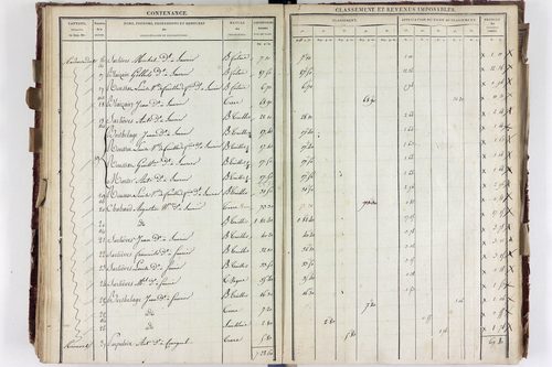 Saurier - P 11324/4      Section D