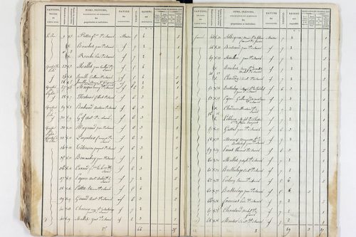 Saurier - P 11325/4      Section E