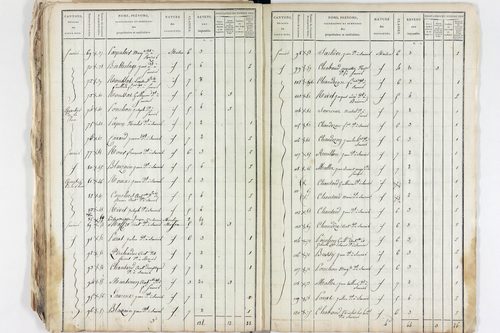 Saurier - P 11325/4      Section E