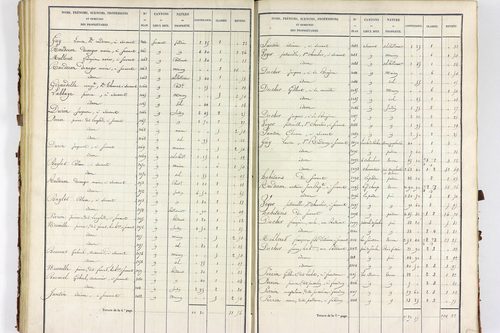 Servant - P 10585/2      Section B