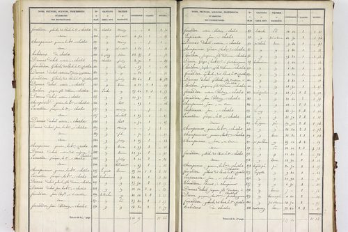 Servant - P 10585/3      Section C