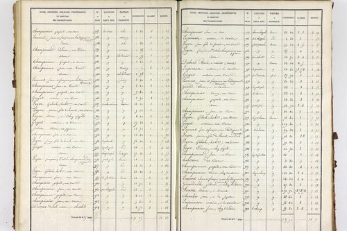 Servant - P 10585/3      Section C