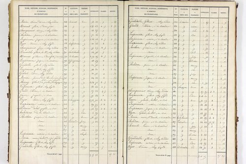 Servant - P 10585/4      Section D