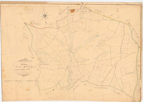 Servant - 53 FI 1260      Section D des Pignons, 1ère feuille