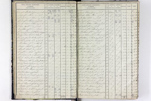 Surat - P 10590/1      Section A