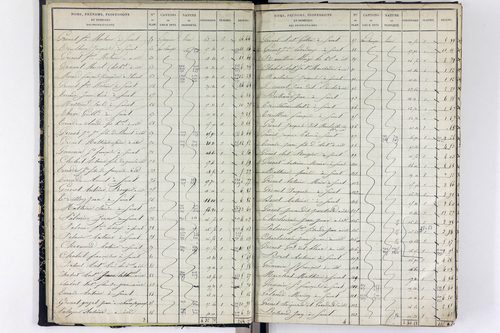 Surat - P 10590/1      Section A