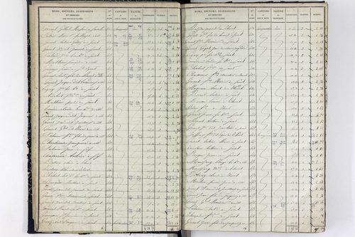 Surat - P 10590/1      Section A