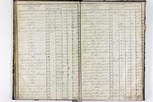 Surat - P 10590/2      Section B