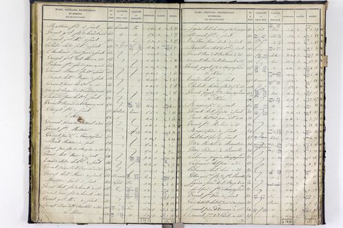 Surat - P 10590/2      Section B