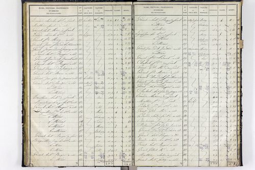 Surat - P 10590/2      Section B