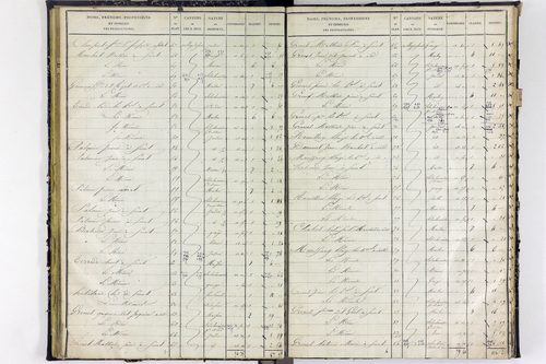 Surat - P 10590/2      Section B