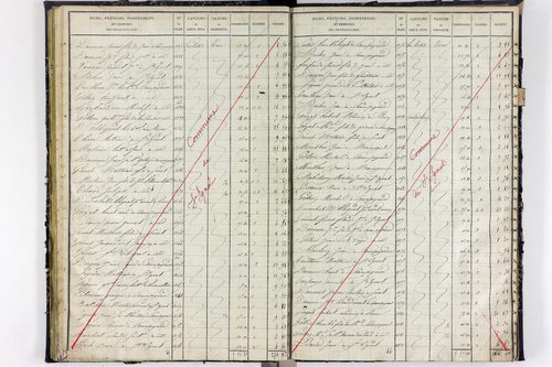 Surat - P 10590/2      Section B
