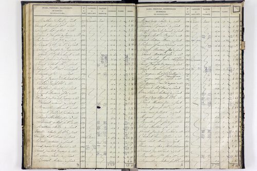 Surat - P 10590/2      Section B