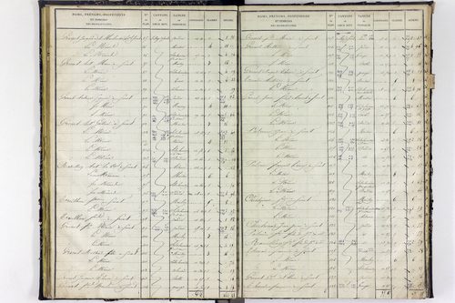 Surat - P 10590/2      Section B