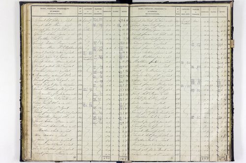 Surat - P 10590/2      Section B