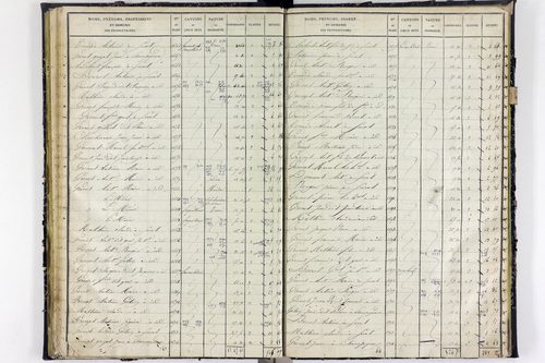 Surat - P 10590/2      Section B