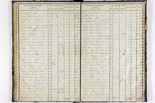 Surat - P 10590/2      Section B