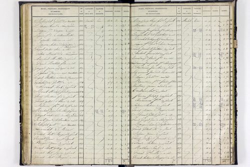 Surat - P 10590/2      Section B