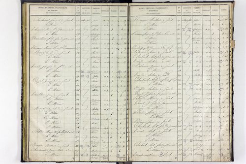Surat - P 10590/2      Section B