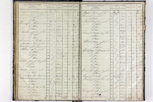 Surat - P 10590/2      Section B