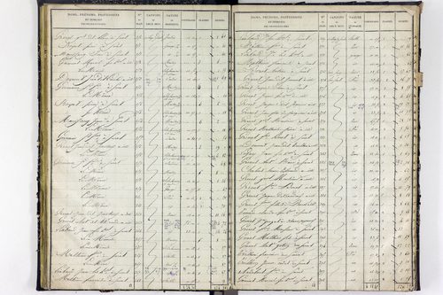 Surat - P 10590/2      Section B