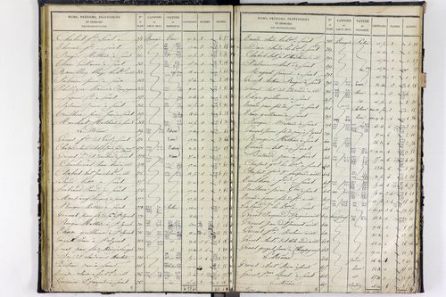 Surat - P 10590/2      Section B