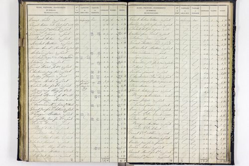Surat - P 10590/3      Section C