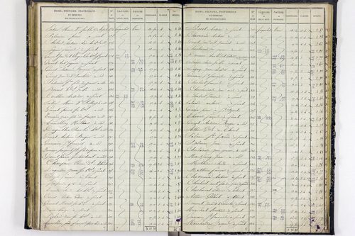 Surat - P 10590/3      Section C