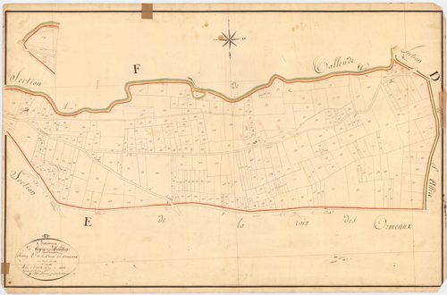 Tallende - 51 FI 1339      Section E de la Croix des Ormeaux, 3ème feuille